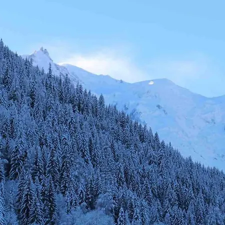Melusine - Big W Pool, Sauna, Huge Terrace, Views & Privacy! Chalet *
